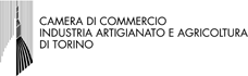CCITO logo